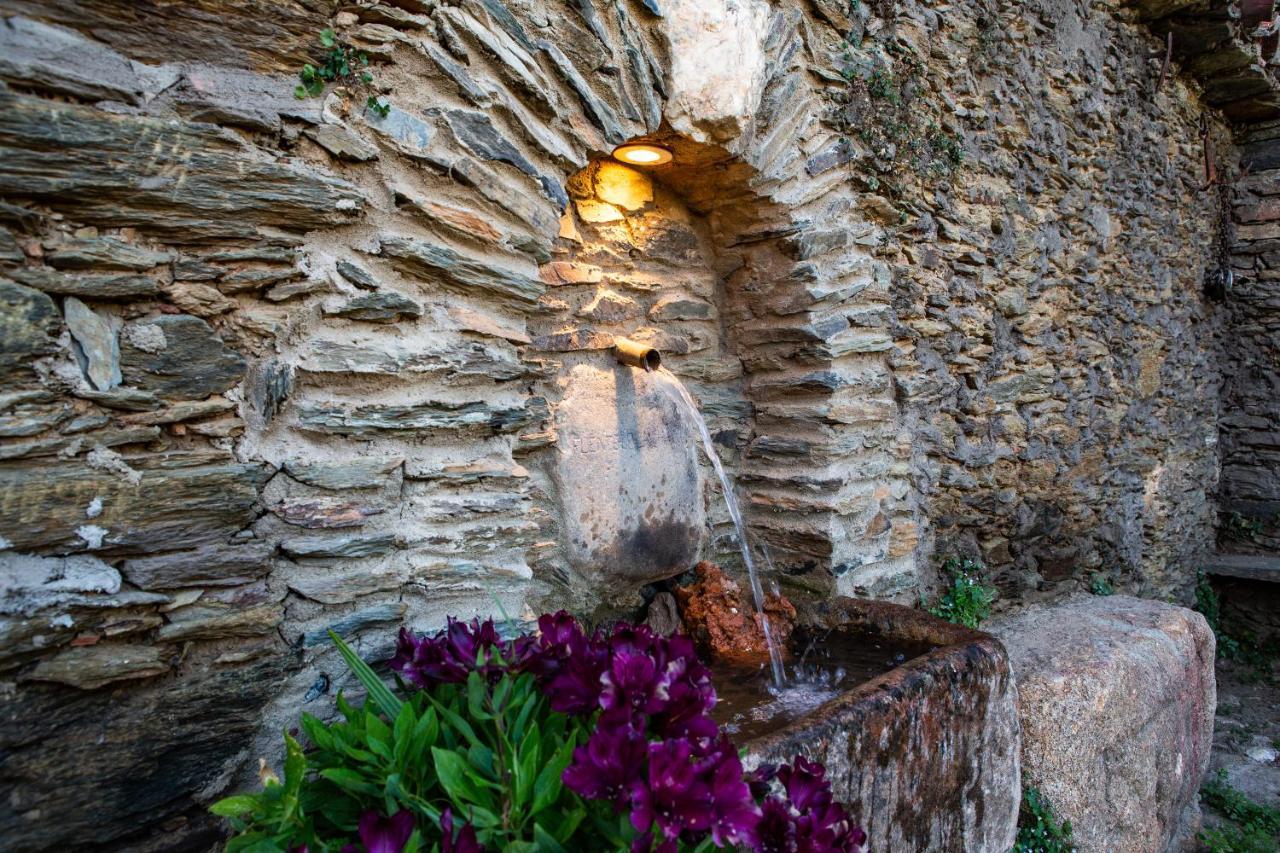 Apartamentos Rurales Cielo De Monfraguee Malpartida De Plasencia Buitenkant foto